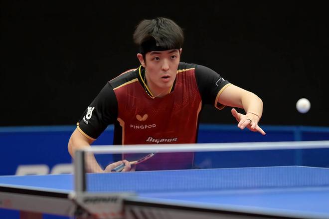 森林狼的进 森林狼的进